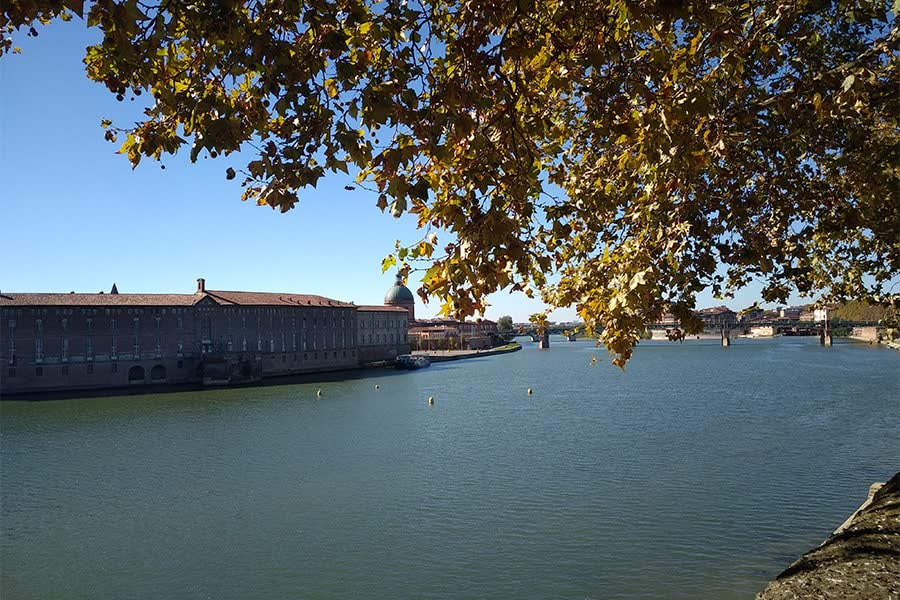 Visita guidata a Toulouse con guida italiana