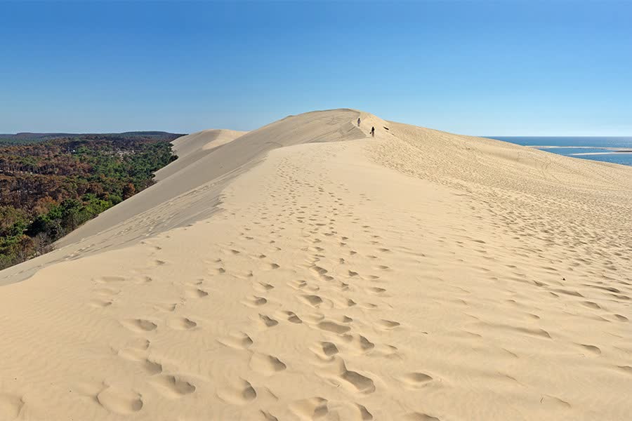 Tour guidato duna du pilat - Francia